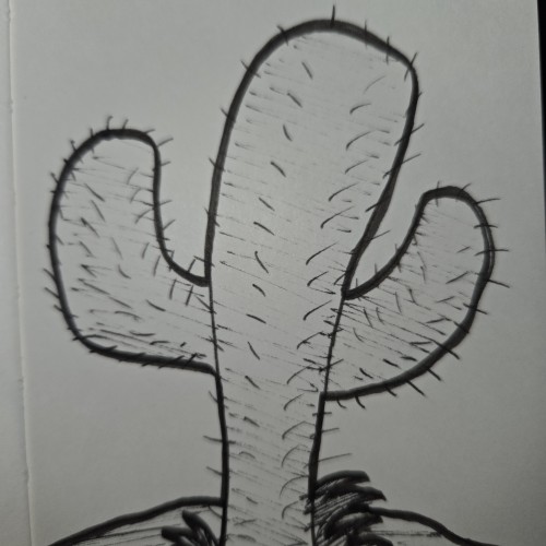 Scribbles with Sarah: Desert