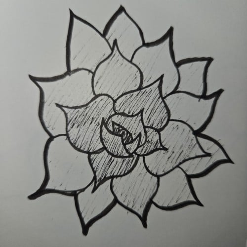 Scribbles with Sarah: Desert