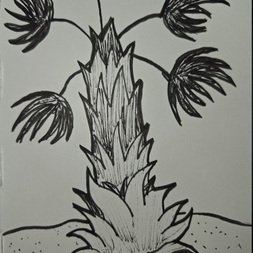 Scribbles with Sarah: Desert