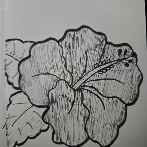 Scribbles with Sarah: Plants and Flowers