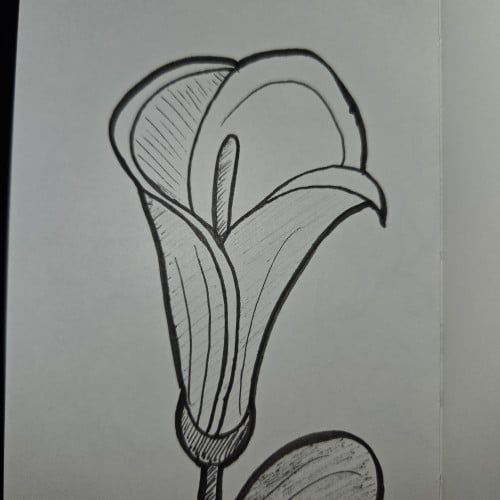 Scribbles with Sarah: Plants and Flowers