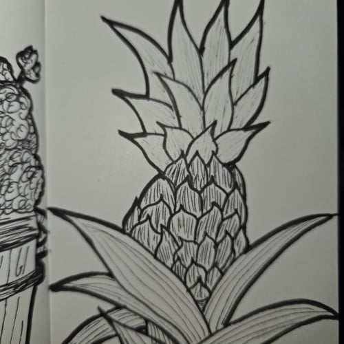 Scribbles with Sarah: Plants and Flowers