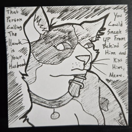 Link the Cat (Twilight Princess)