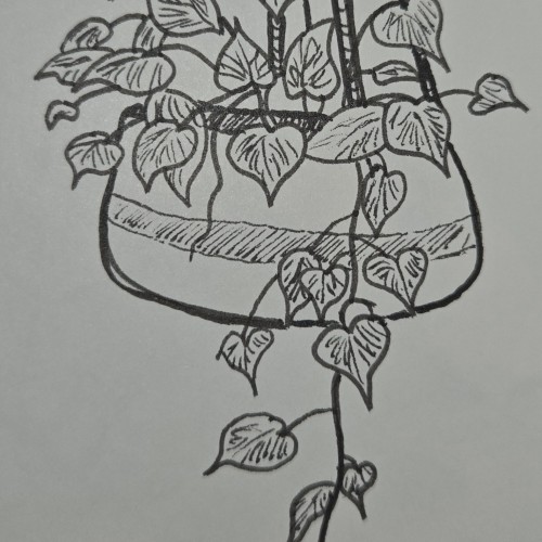 Scribbles: Gardening
