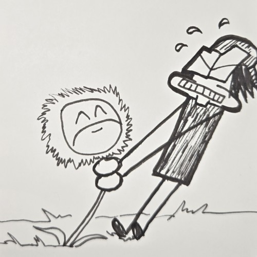 Scribbles: Gardening