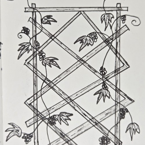 Scribbles: Gardening