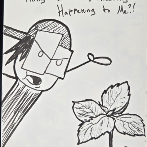 Scribbles: Gardening