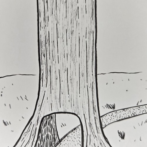 Scribbles: Trees