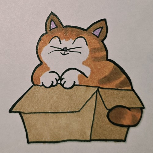 Scribbles: Cat Sleeping Positions