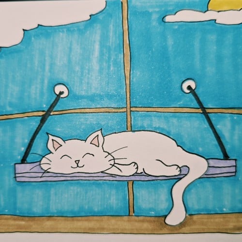 Scribbles: Cat Sleeping Positions