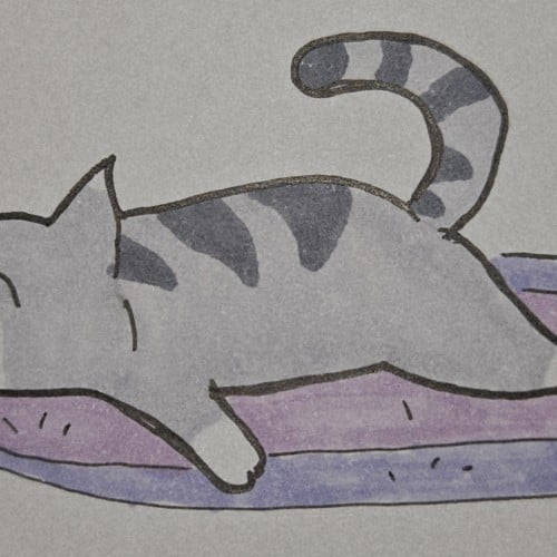 Scribbles: Cat Sleeping Positions