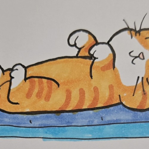 Scribbles: Cat Sleeping Positions