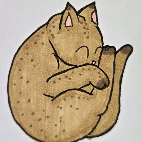 Scribbles: Cat Sleeping Positions