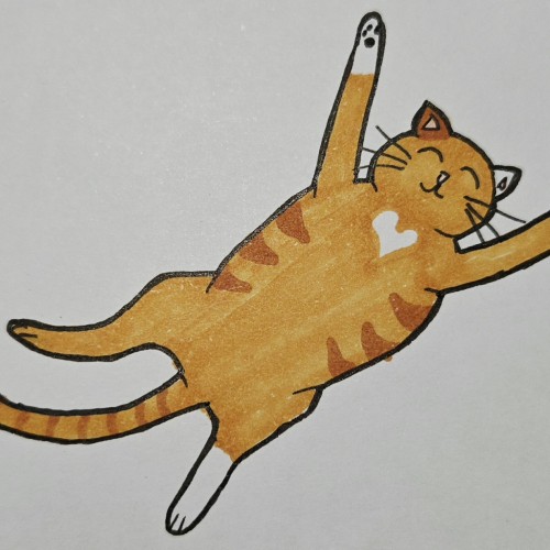 Scribbles: Cat Sleeping Positions
