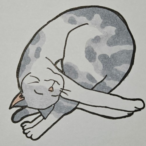 Scribbles: Cat Sleeping Positions