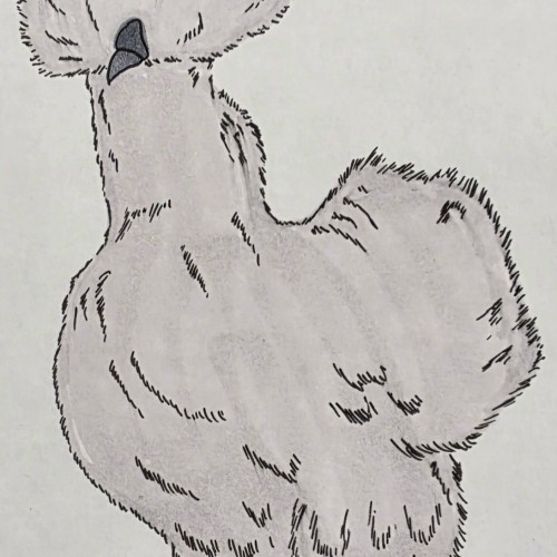 Scribbles: Chickens