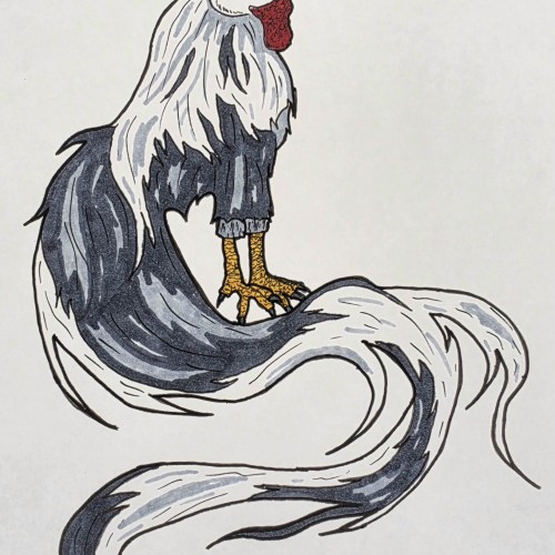 Scribbles: Chickens