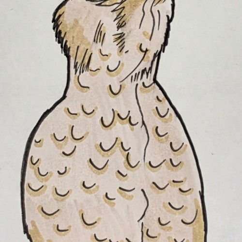 Scribbles: Chickens