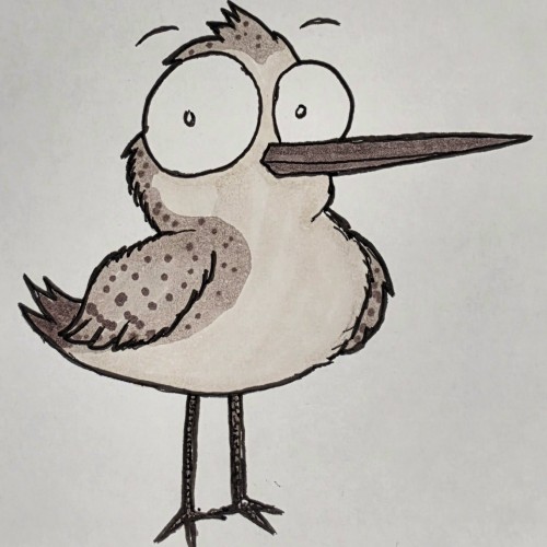Scribbles: Shore Birds