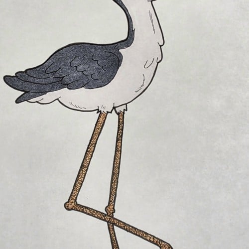 Scribbles: Shore Birds