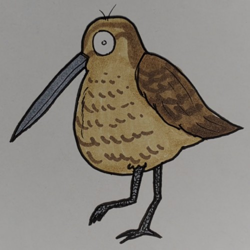 Scribbles: Shore Birds