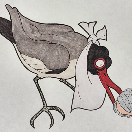 Scribbles: Shore Birds
