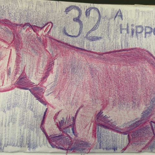 D32 a hippo