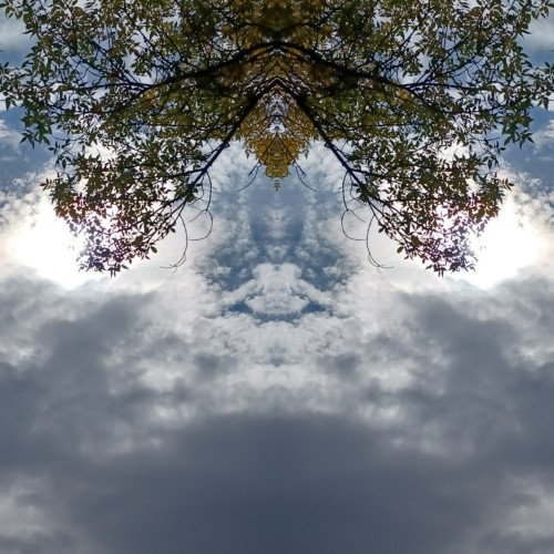 97M Unique Blue White Tan Trees Sky Clouds Abstract Nature