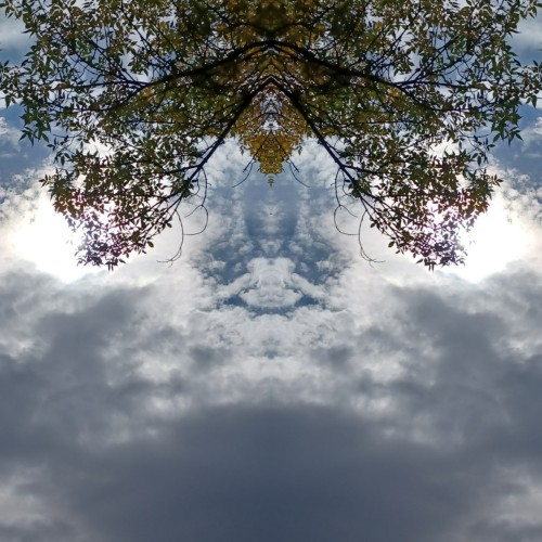 97M Unique Blue White Tan Trees Sky Clouds Abstract Nature