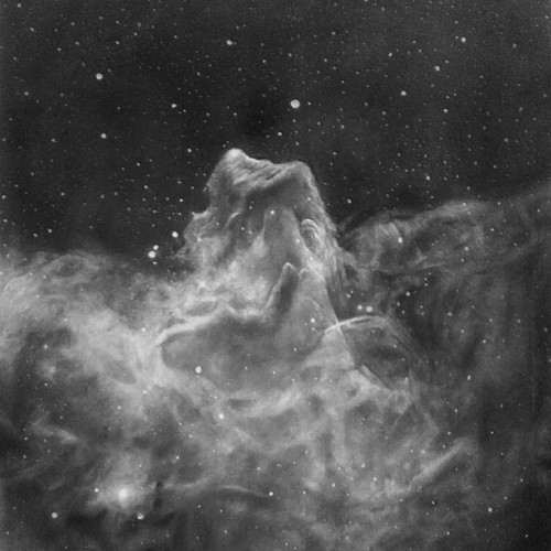Horsehead Nebula (2023).