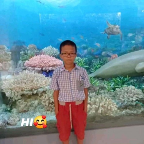 The boy with the ant eye and the fish tank ( 2019)