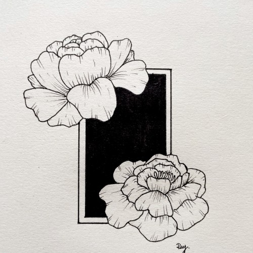 Peeky Peonies