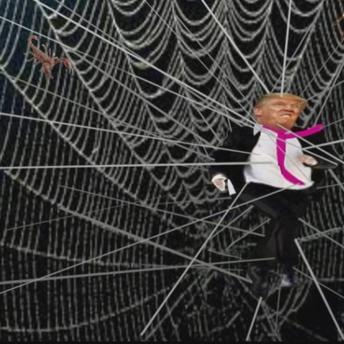 Caught In A Web Of Lies
