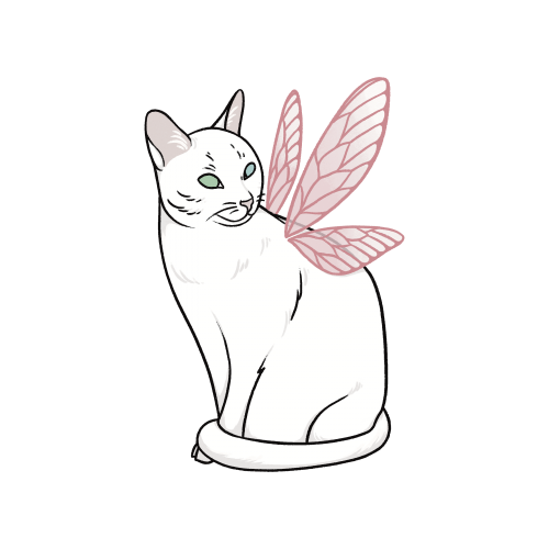 Fairy kitty