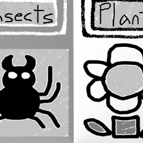 Insects and Plants