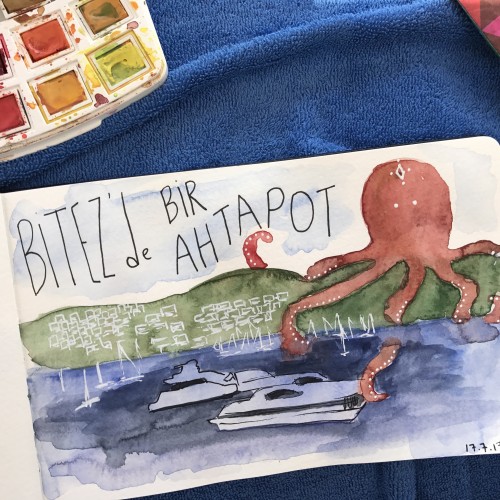 An Octopus at Bitez