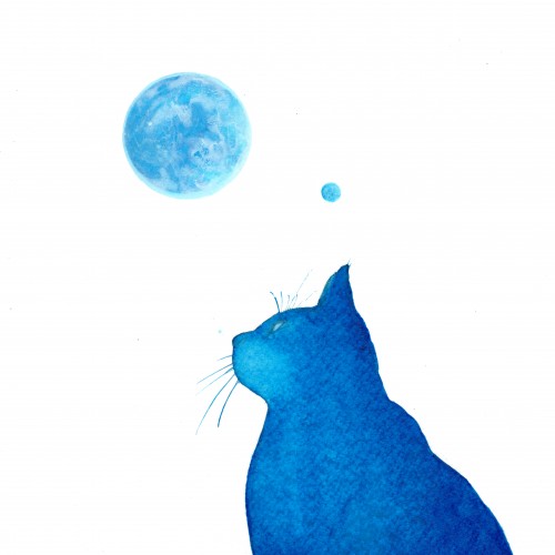 Blue Cat