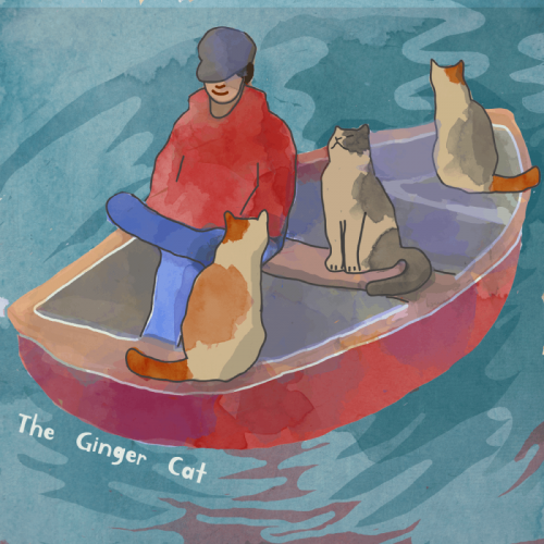 Cats in a boat
