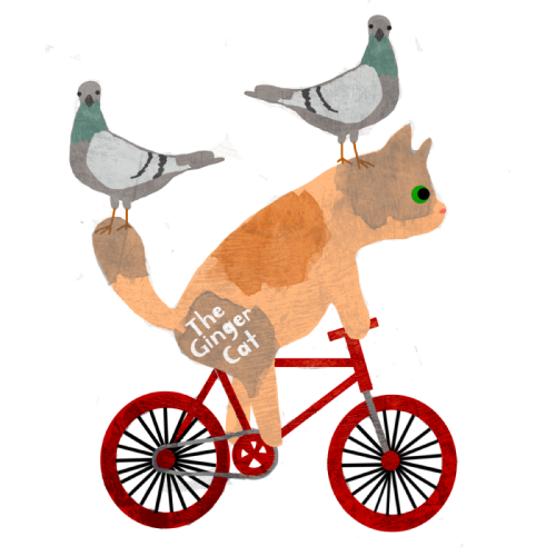 Cat biking
