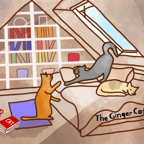 Cats in the Room