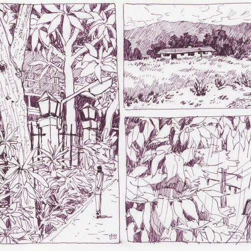 3 scenes