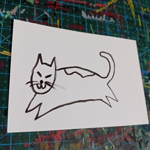 Cat