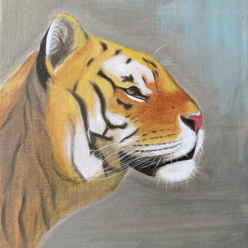 Gaze of a Tigress