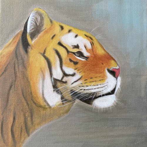 Gaze of a Tigress