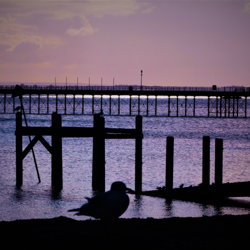 Southend Seafront Peir Views Of Pink Sky, Dock, seagull in the darkness