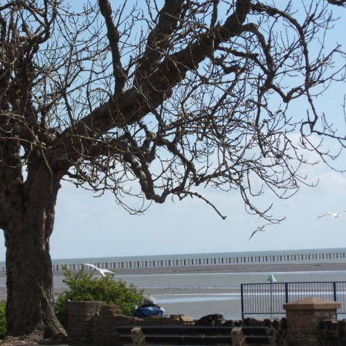 Shoebury Beach Seafront