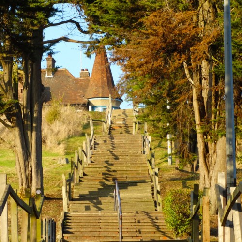 The Chalkwell Forest Steps By Old Leigh