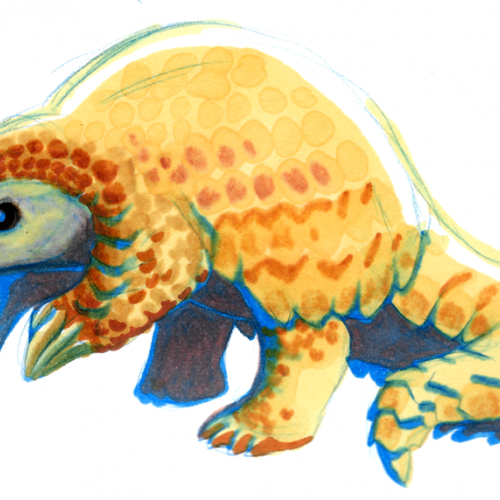 Pangolin