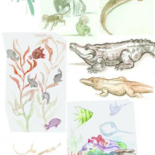 Super old watercolor studies