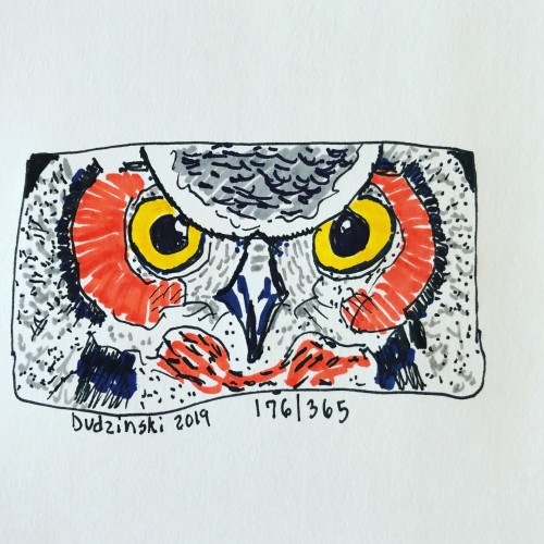 Owl Eyes